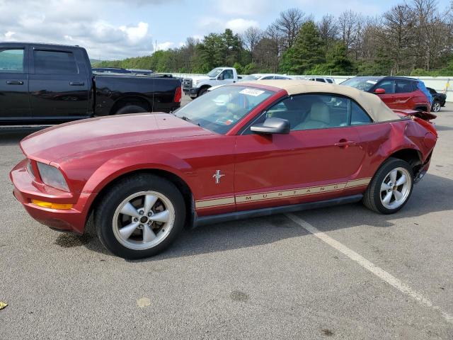 FORD MUSTANG 2007 1zvht84n075349068