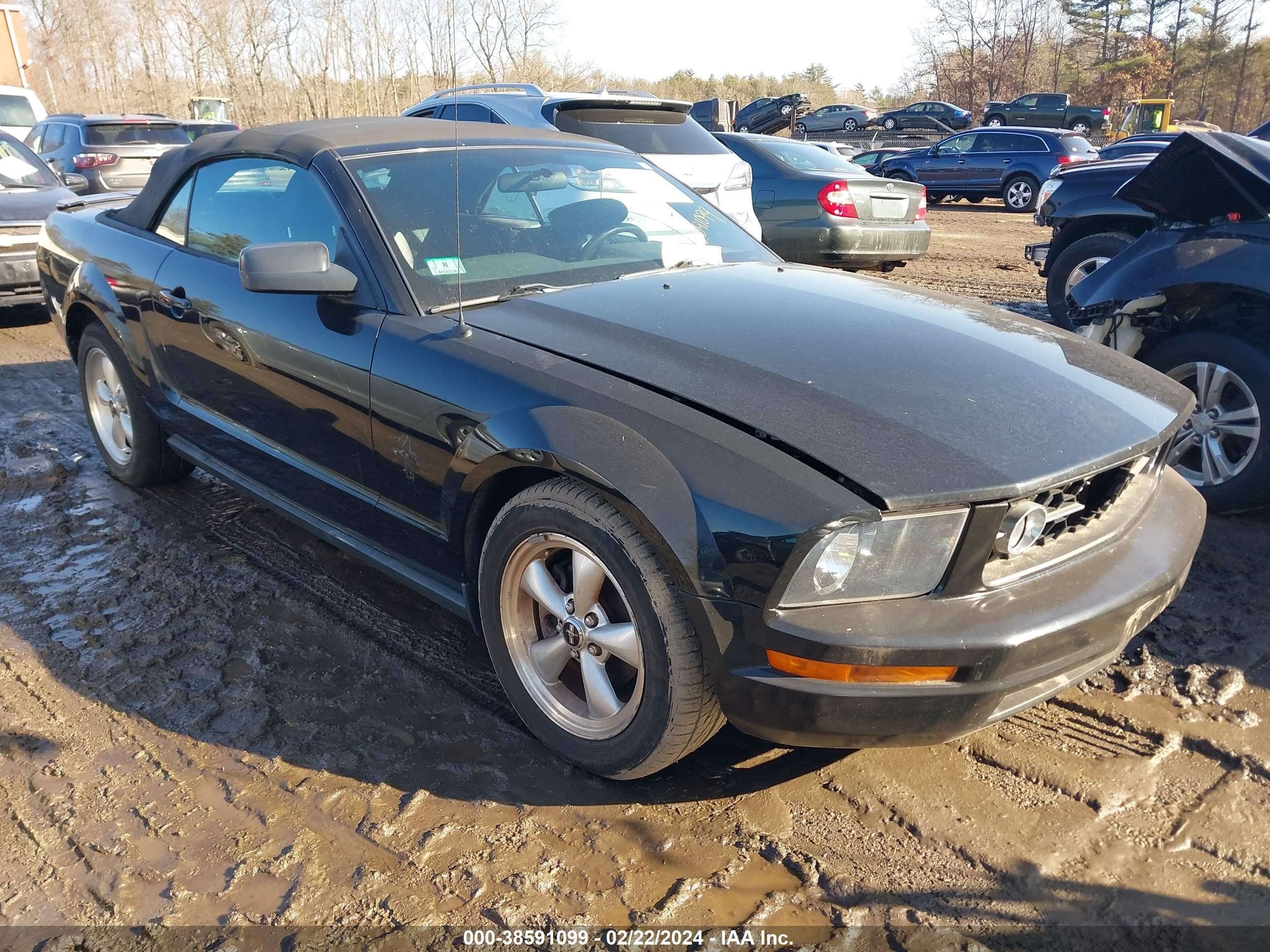 FORD MUSTANG 2007 1zvht84n075355470