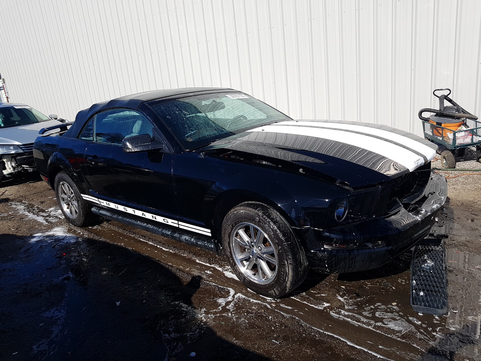 FORD MUSTANG 2005 1zvht84n155208376