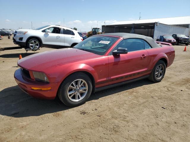 FORD MUSTANG 2005 1zvht84n155244293