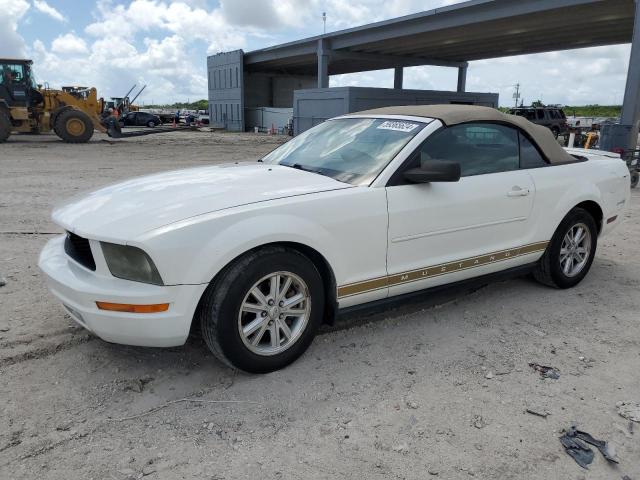 FORD MUSTANG 2008 1zvht84n185144778