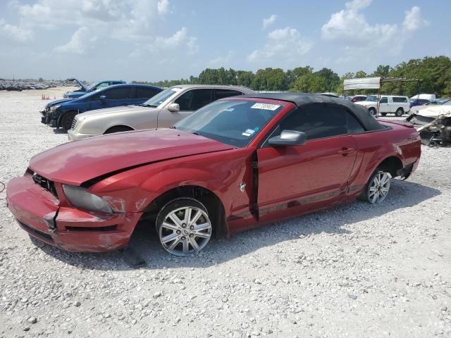 FORD MUSTANG 2009 1zvht84n195133913