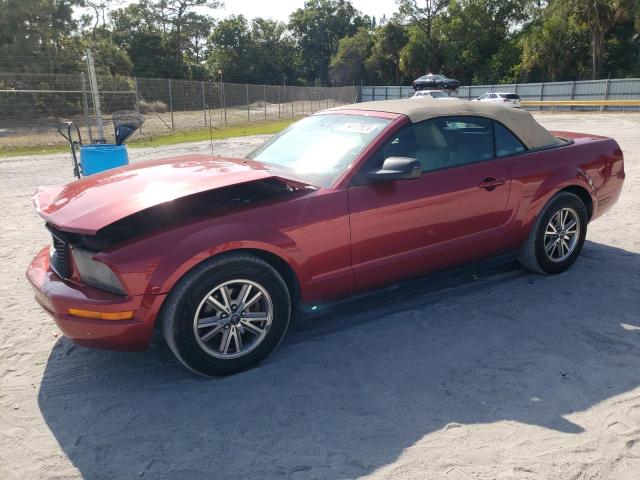 FORD MUSTANG 2005 1zvht84n355246997