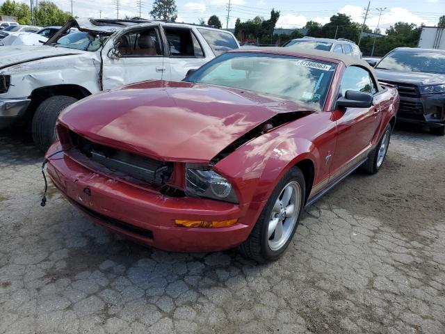 FORD MUSTANG 2008 1zvht84n385145219