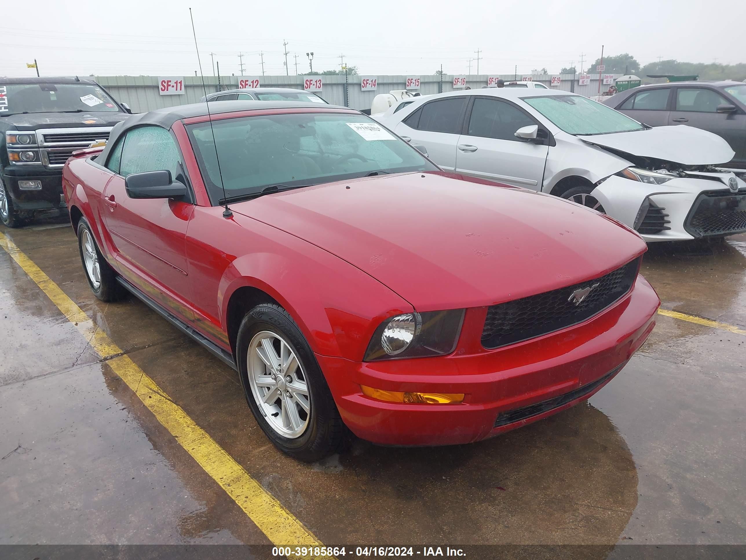 FORD MUSTANG 2008 1zvht84n385169388