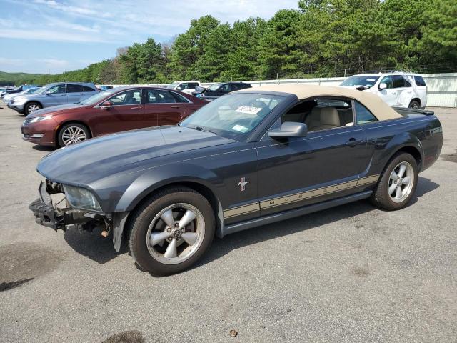 FORD MUSTANG 2008 1zvht84n385192878