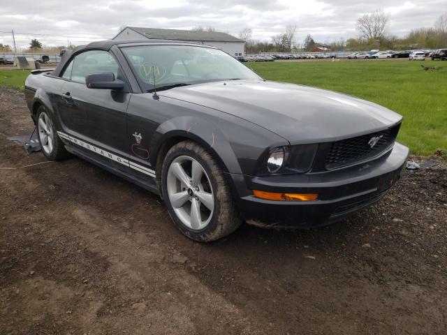 FORD MUSTANG 2009 1zvht84n395100556