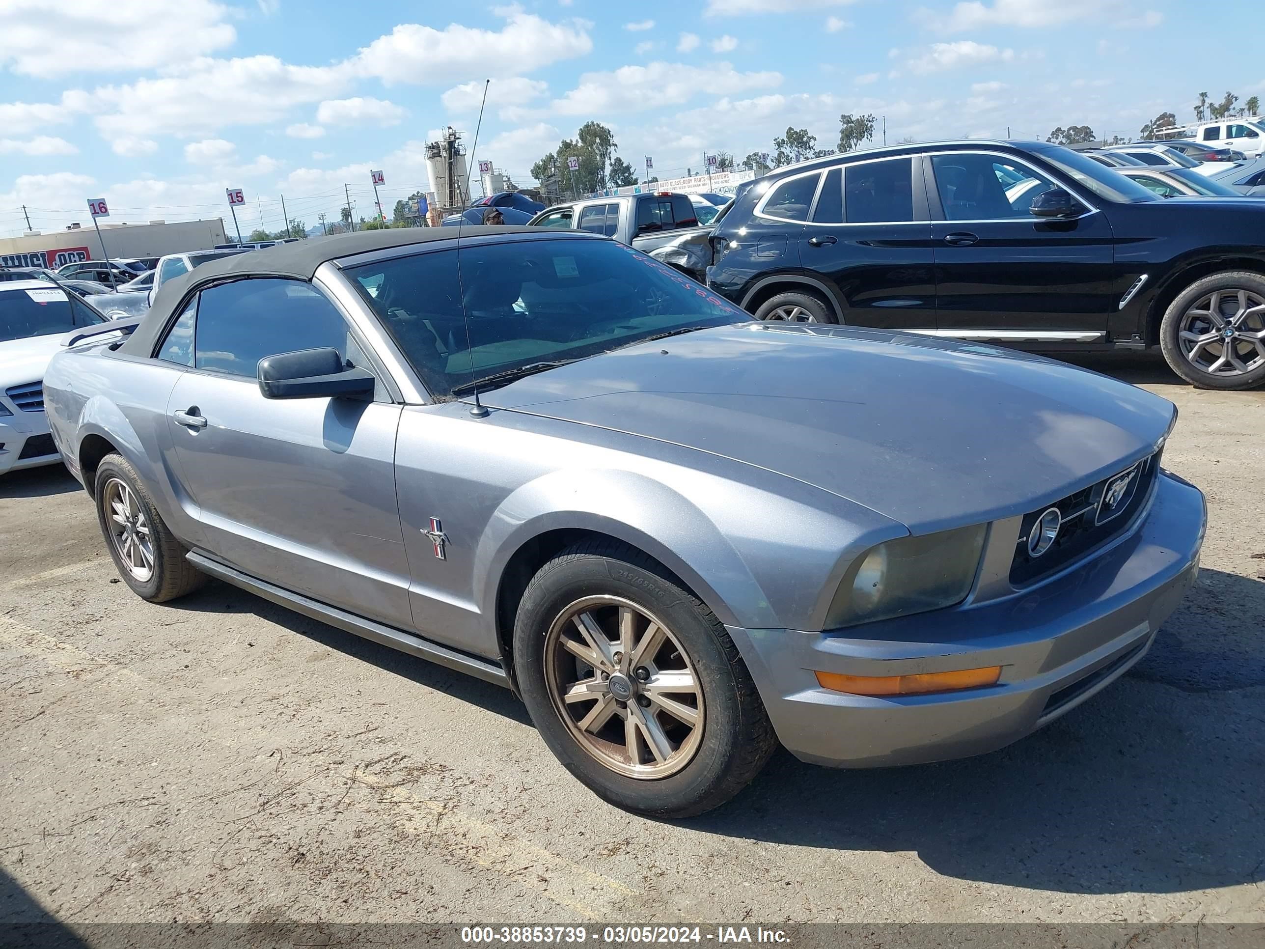 FORD MUSTANG 2006 1zvht84n465110654