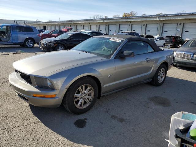 FORD MUSTANG 2009 1zvht84n495131069