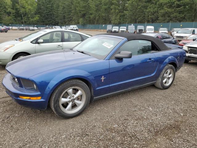 FORD MUSTANG 2008 1zvht84n585103568