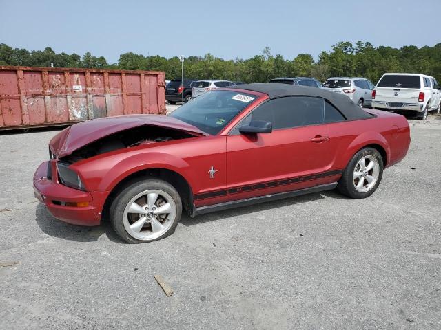 FORD MUSTANG 2008 1zvht84n585162667