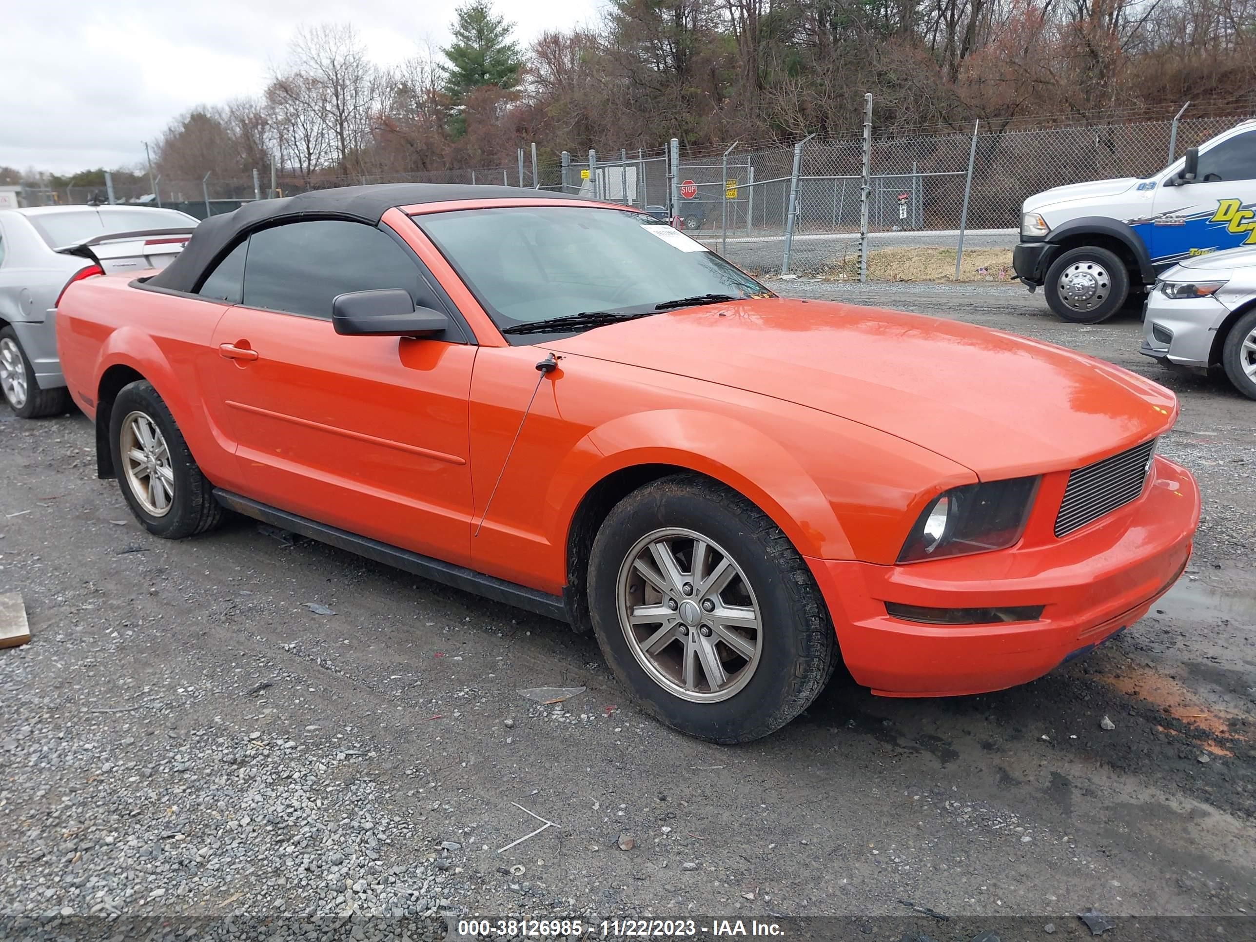 FORD MUSTANG 2008 1zvht84n585185897