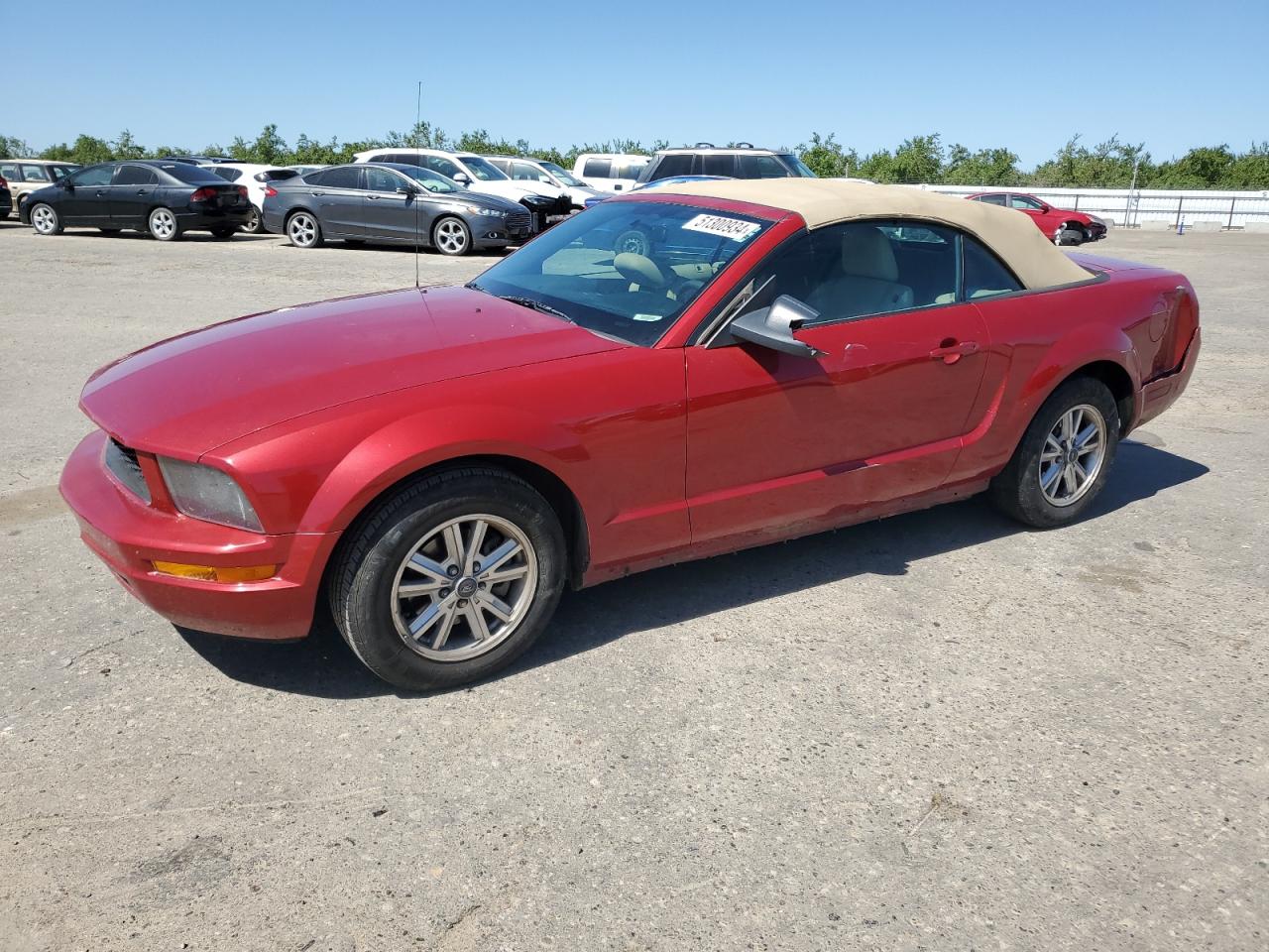 FORD MUSTANG 2008 1zvht84n685191384