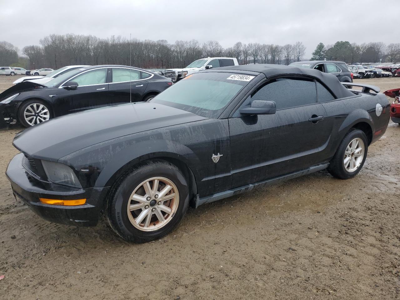 FORD MUSTANG 2009 1zvht84n695137052