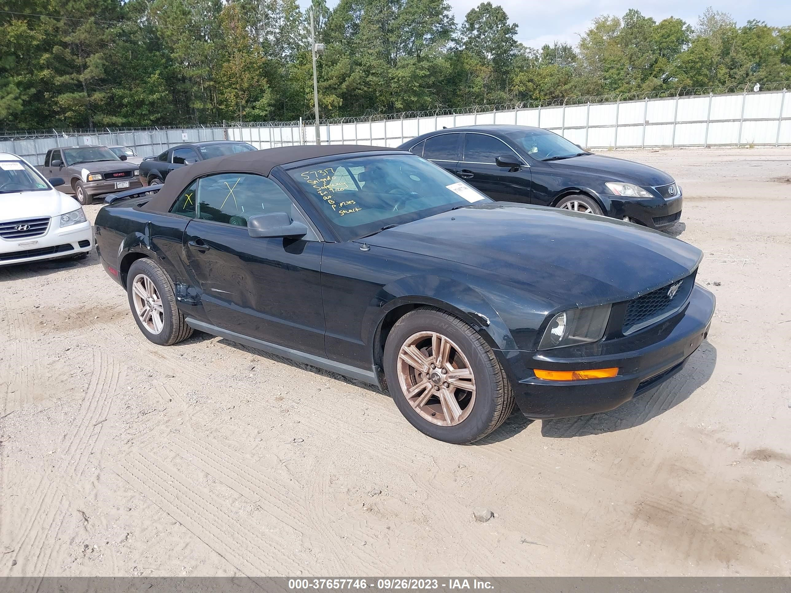 FORD MUSTANG 2006 1zvht84n765115802