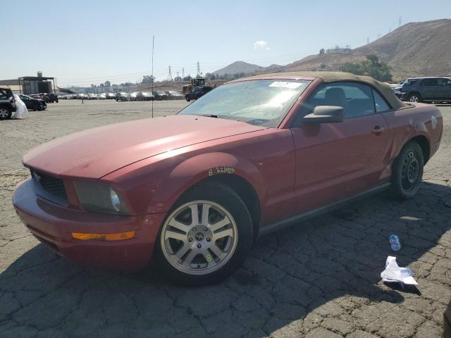 FORD MUSTANG 2008 1zvht84n785120713