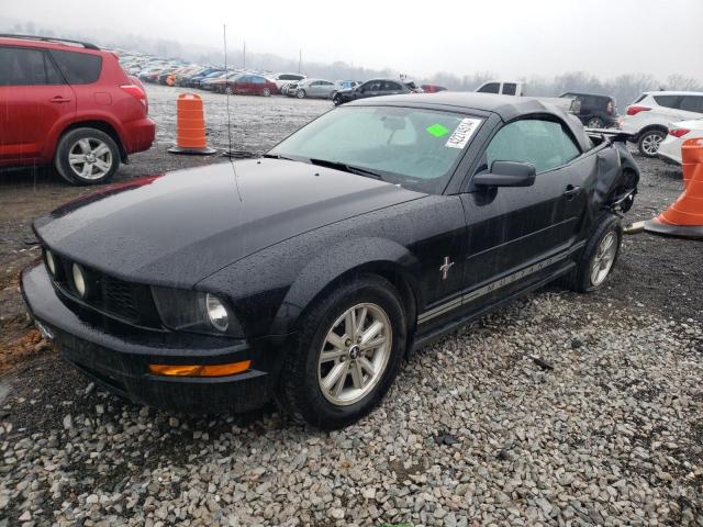 FORD MUSTANG 2008 1zvht84n785146485