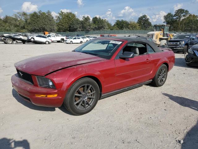 FORD MUSTANG 2008 1zvht84n785204868