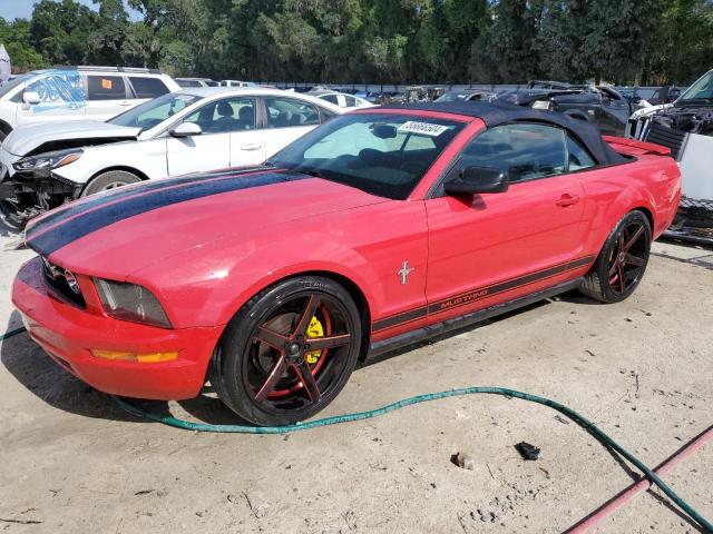 FORD MUSTANG 2007 1zvht84n875349447