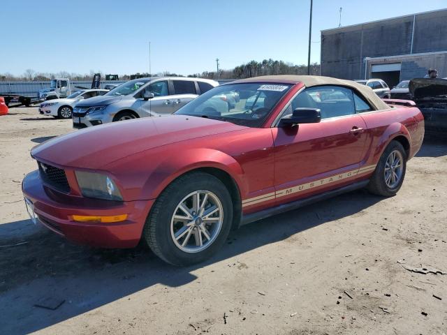 FORD MUSTANG 2005 1zvht84nx55228318