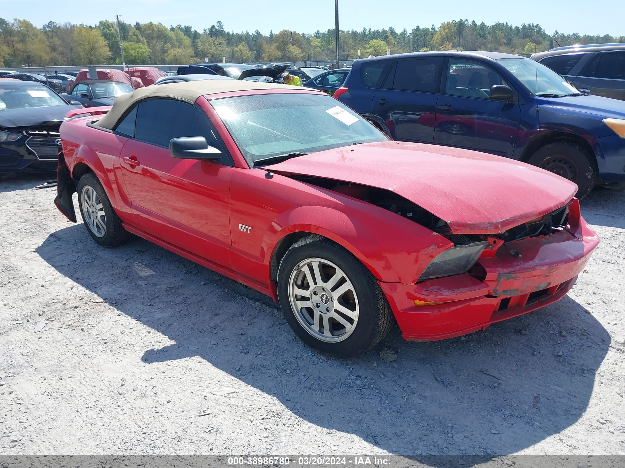 FORD MUSTANG 2006 1zvht85h065120137