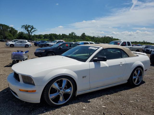 FORD MUSTANG 2006 1zvht85h065125872