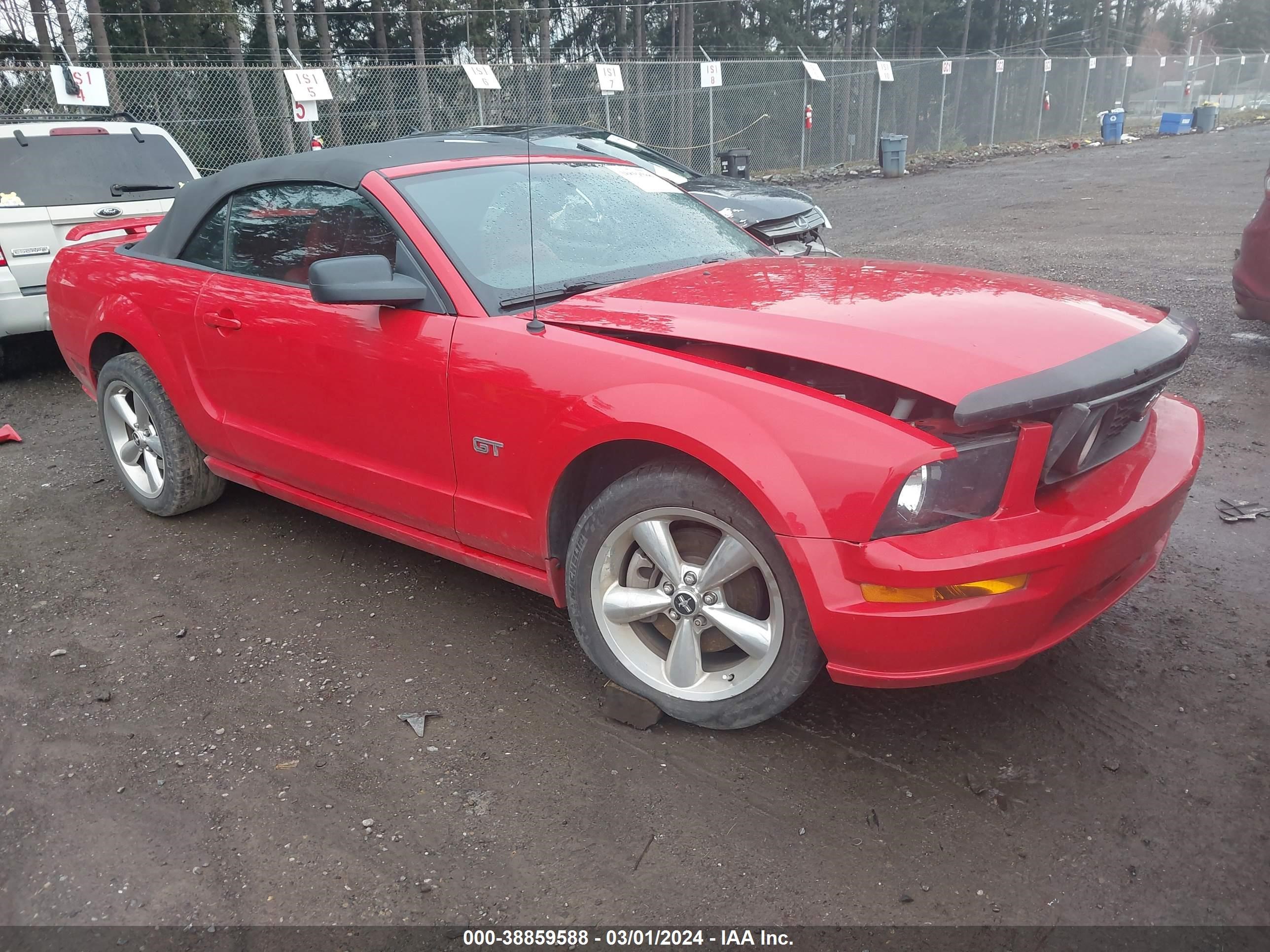 FORD MUSTANG 2006 1zvht85h065193525