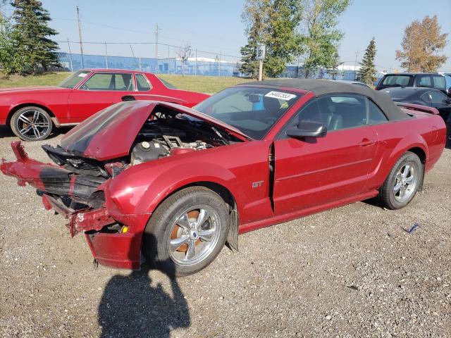 FORD MUSTANG GT 2008 1zvht85h085205286