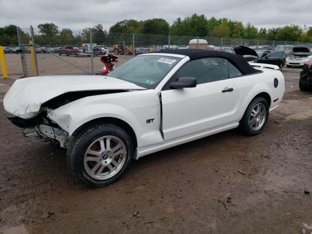 FORD MUSTANG 2006 1zvht85h165191041