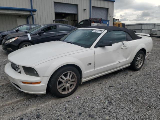 FORD MUSTANG 2005 1zvht85h255181407