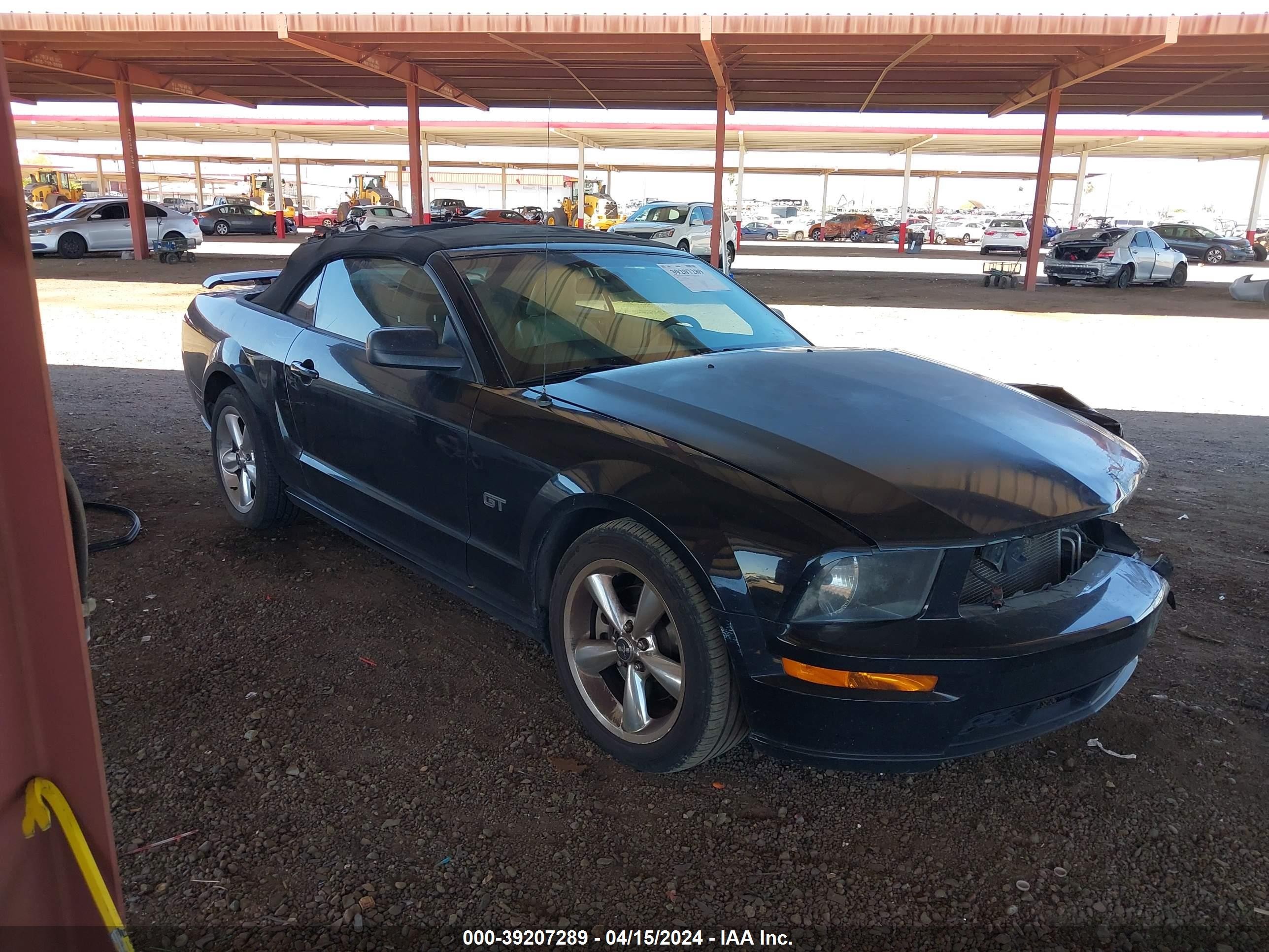 FORD MUSTANG 2005 1zvht85h355190407