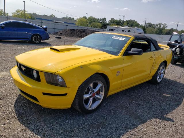 FORD MUSTANG 2006 1zvht85h465248882