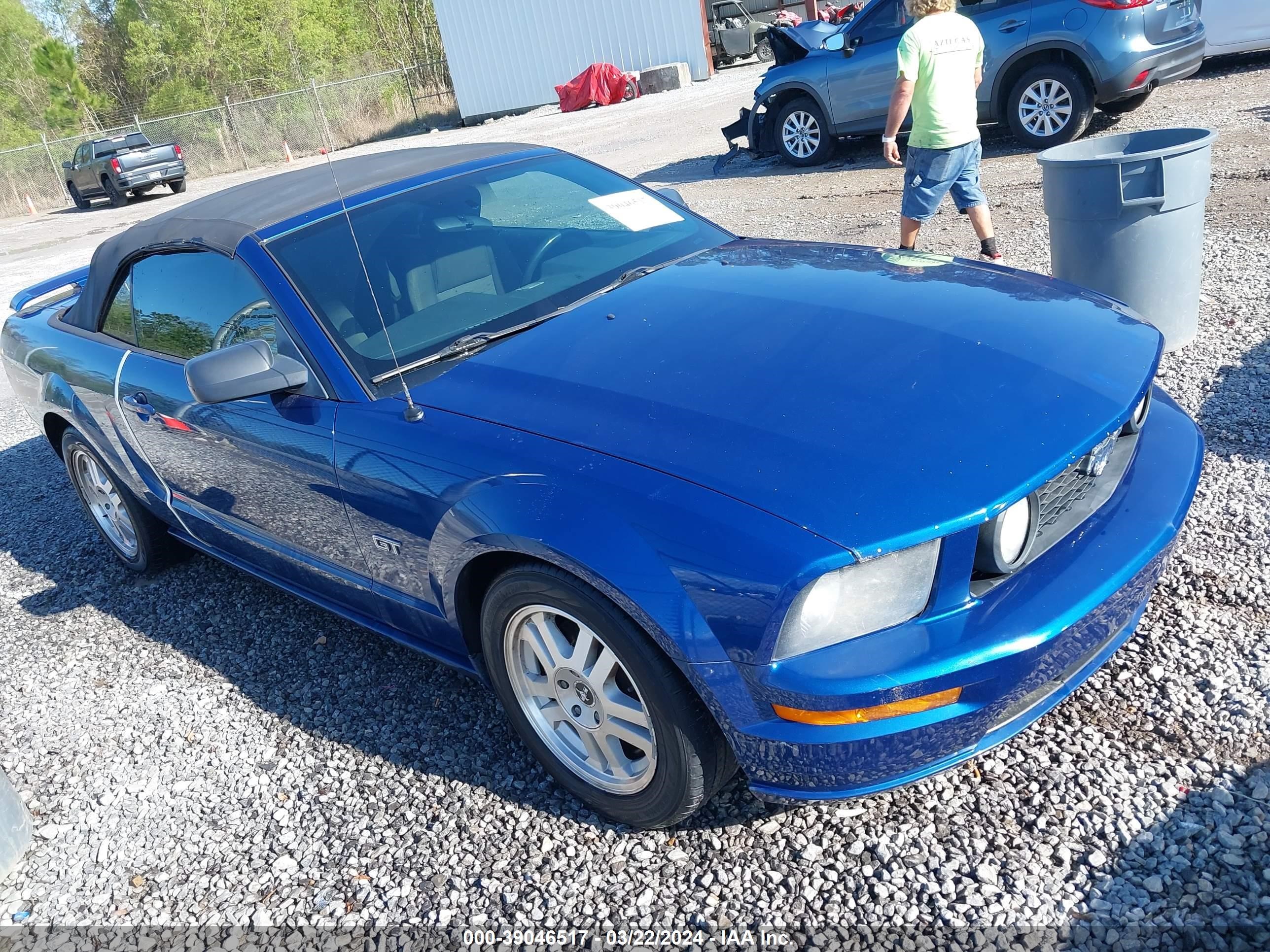 FORD MUSTANG 2008 1zvht85h485204237