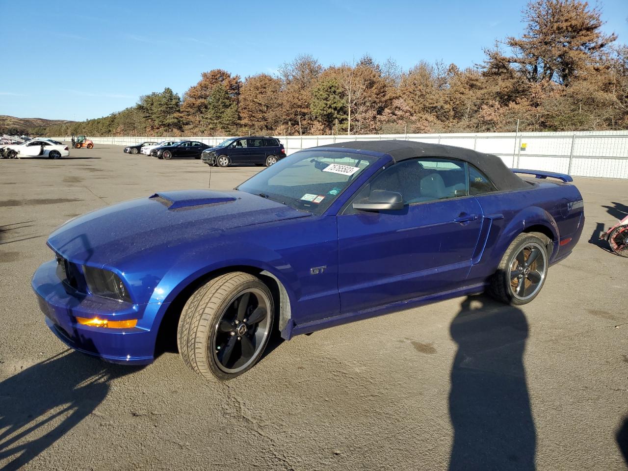 FORD MUSTANG 2005 1zvht85h555229806