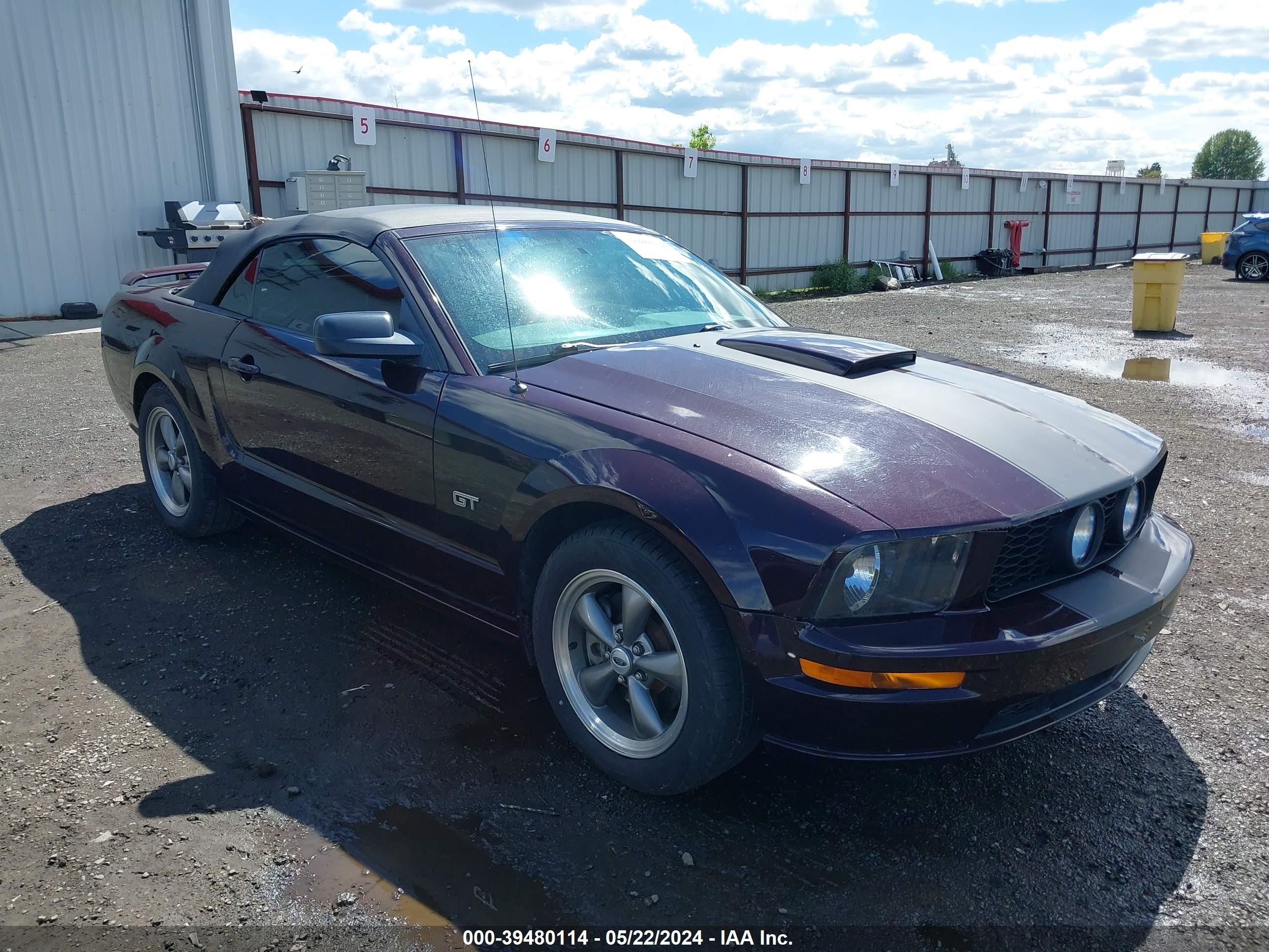 FORD MUSTANG 2005 1zvht85h655166926