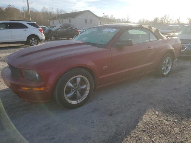 FORD MUSTANG 2007 1zvht85h775196911