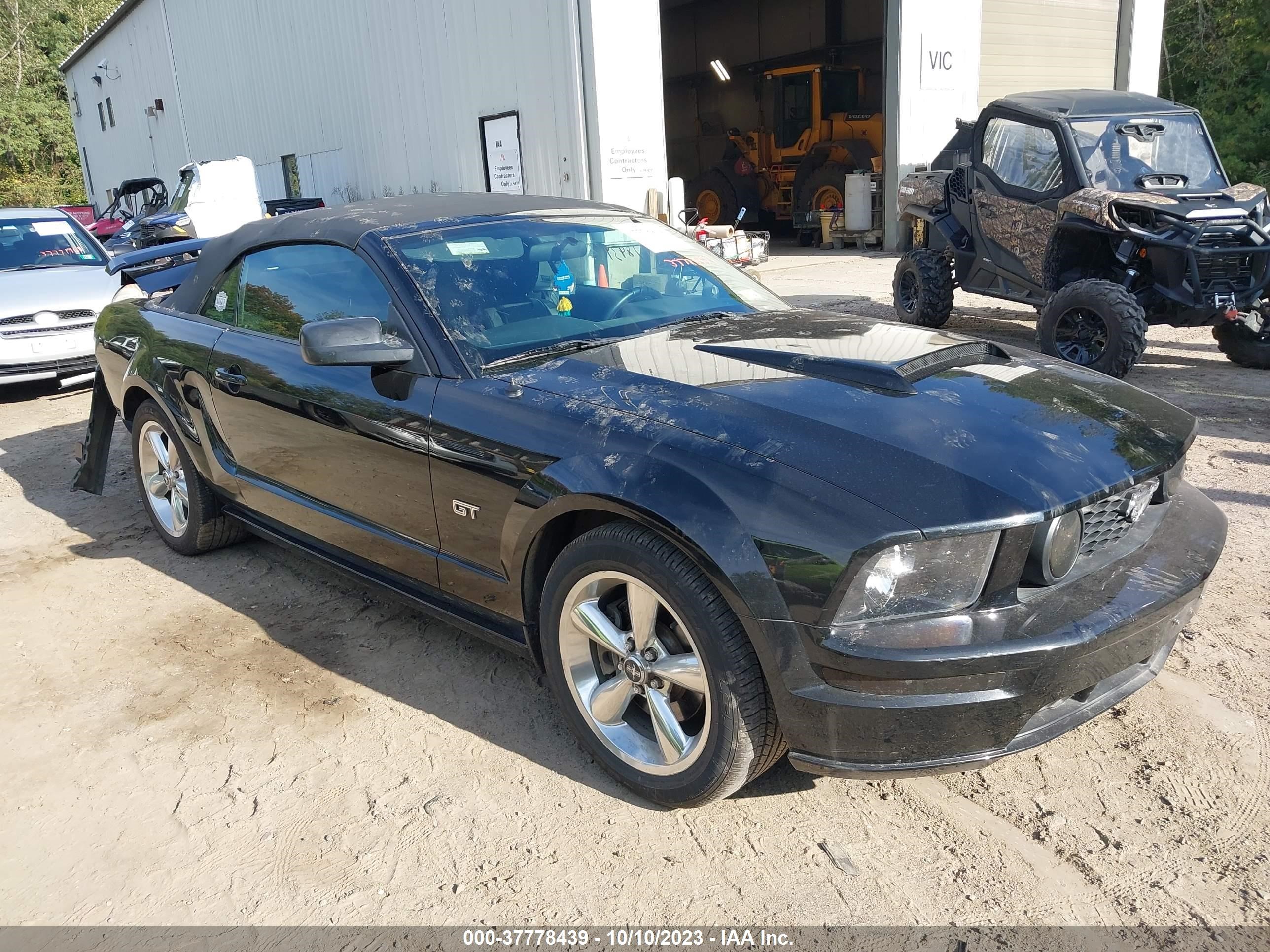 FORD MUSTANG 2006 1zvht85h865234256