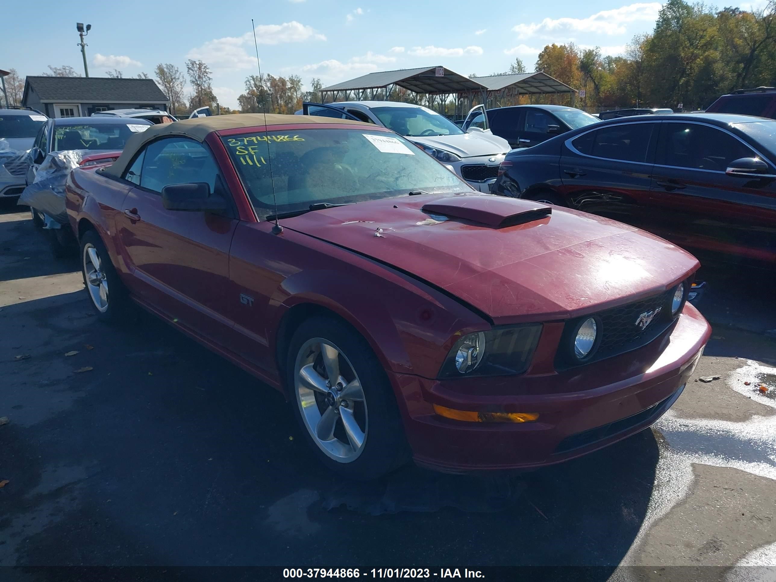 FORD MUSTANG 2008 1zvht85h885201695