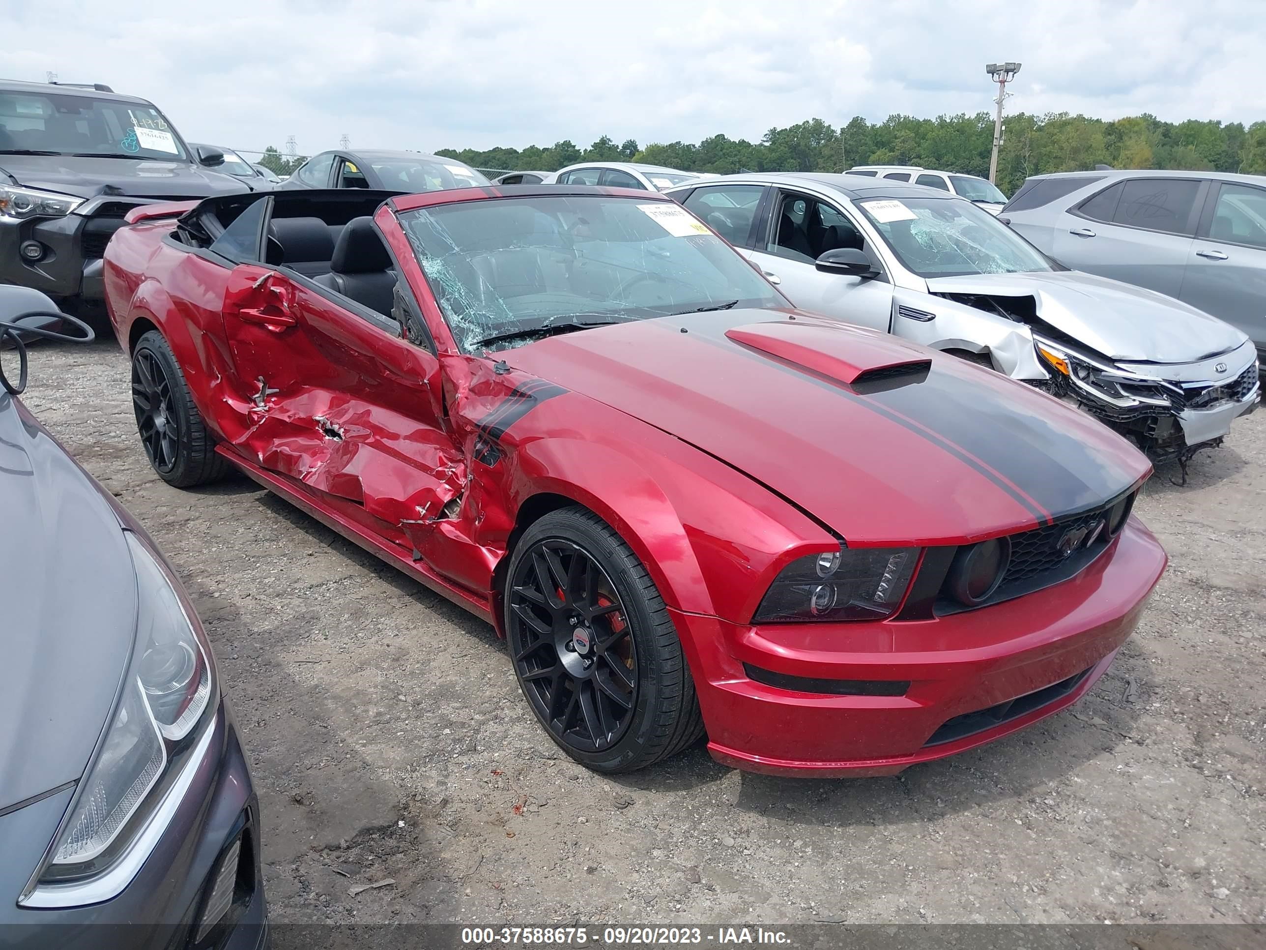 FORD MUSTANG 2007 1zvht85h975238463