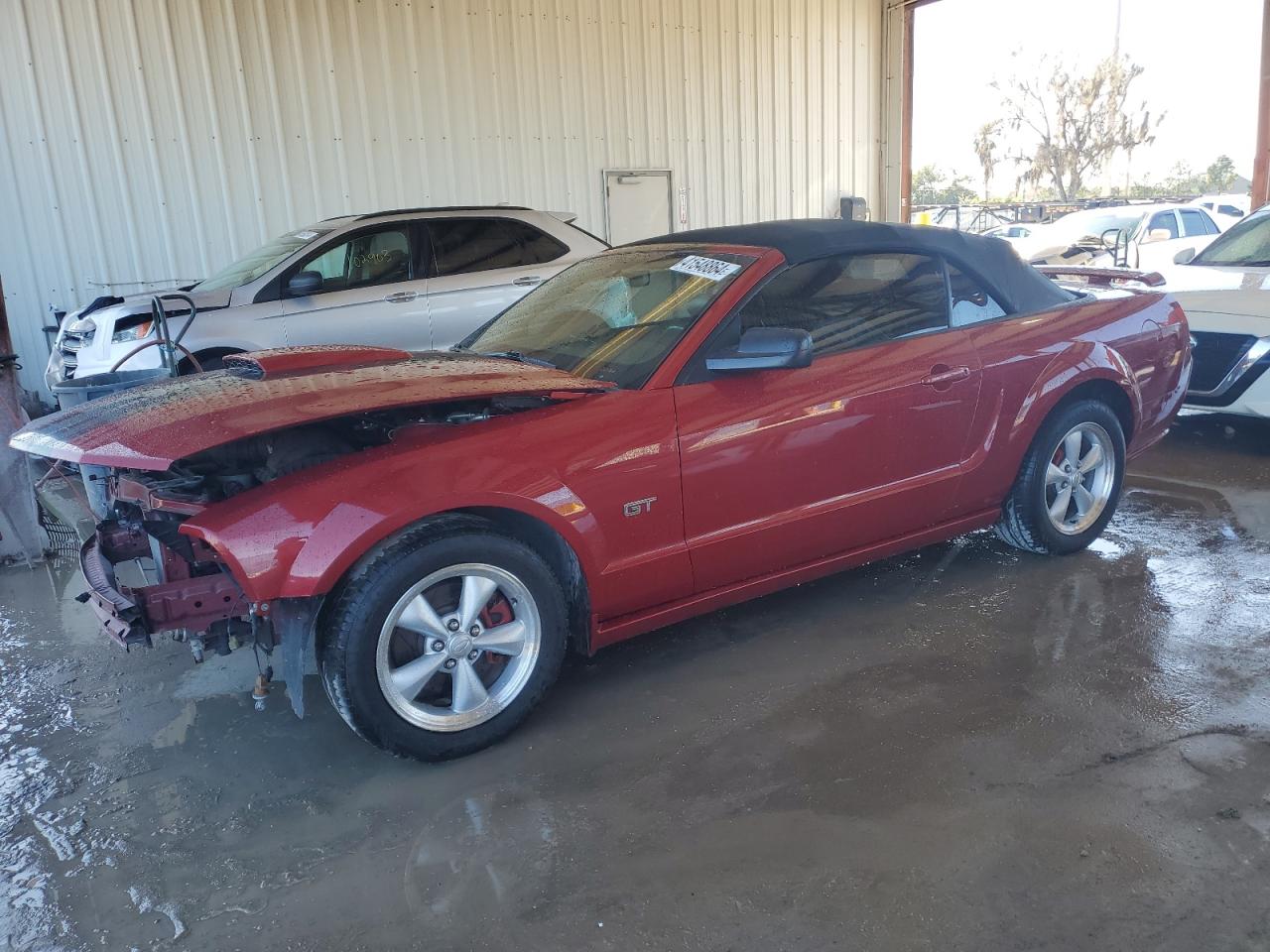 FORD MUSTANG 2008 1zvht85h985136503