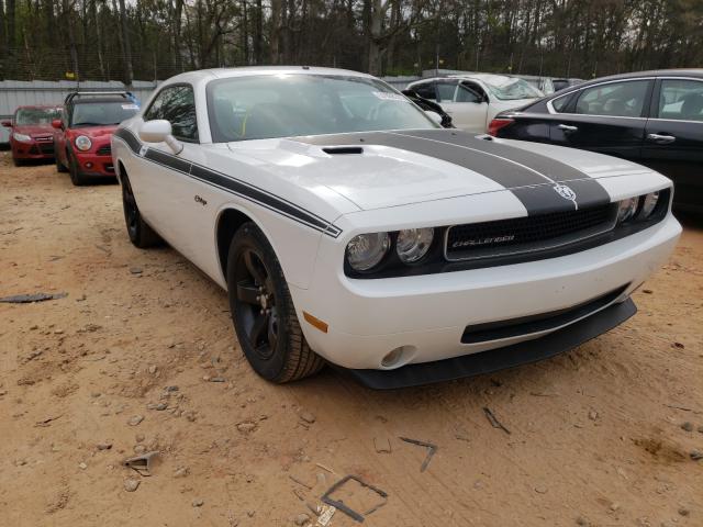 DODGE CHALLENGER 2010 2b3cj4dv0ah255155