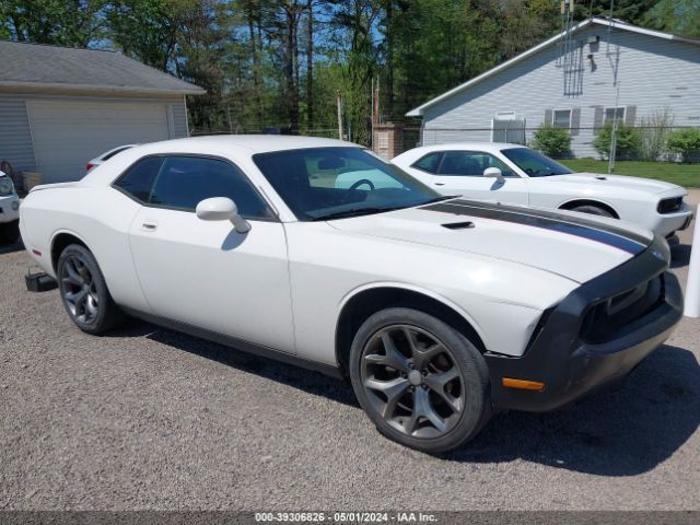 DODGE CHALLENGER 2010 2b3cj4dv1ah159762