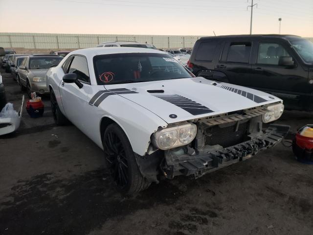 DODGE CHALLENGER 2010 2b3cj4dv1ah255102