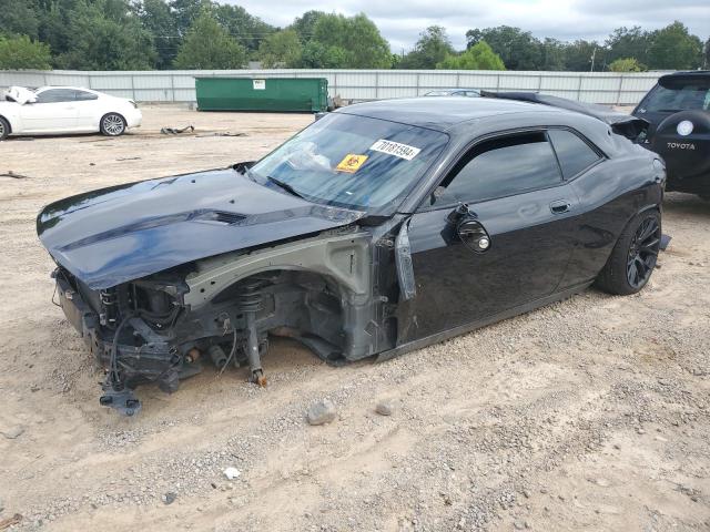 DODGE CHALLENGER 2010 2b3cj4dv2ah182354