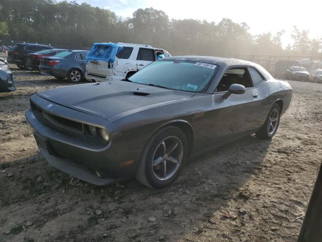 DODGE CHALLENGER 2010 2b3cj4dv3ah113981