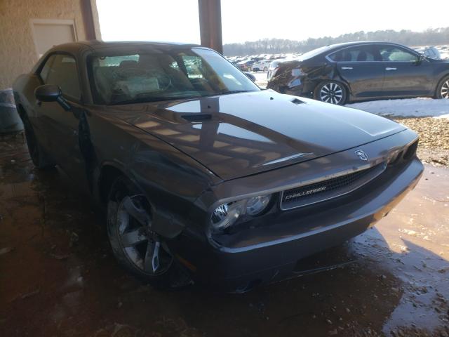 DODGE CHALLENGER 2010 2b3cj4dvxah318360