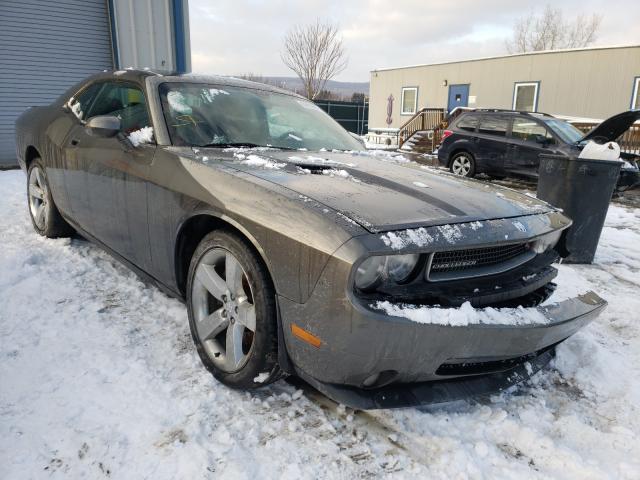 DODGE CHALLENGER 2010 2b3cj5dt3ah182383