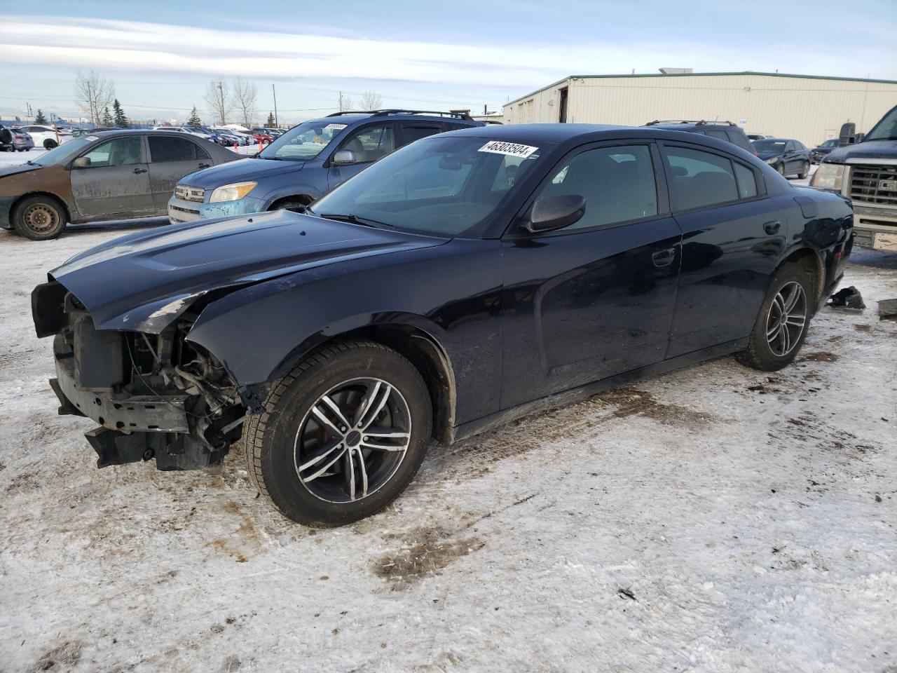 DODGE CHARGER 2011 2b3cl3cg0bh502389