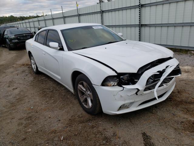 DODGE CHARGER 2011 2b3cl3cg0bh560289