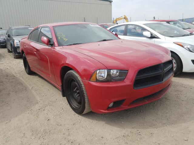 DODGE CHARGER 2011 2b3cl3cg1bh502529